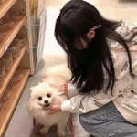 御龙城堡无限元宝下载
